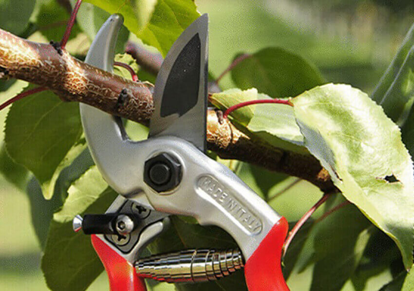 Castellari Universal Secateurs