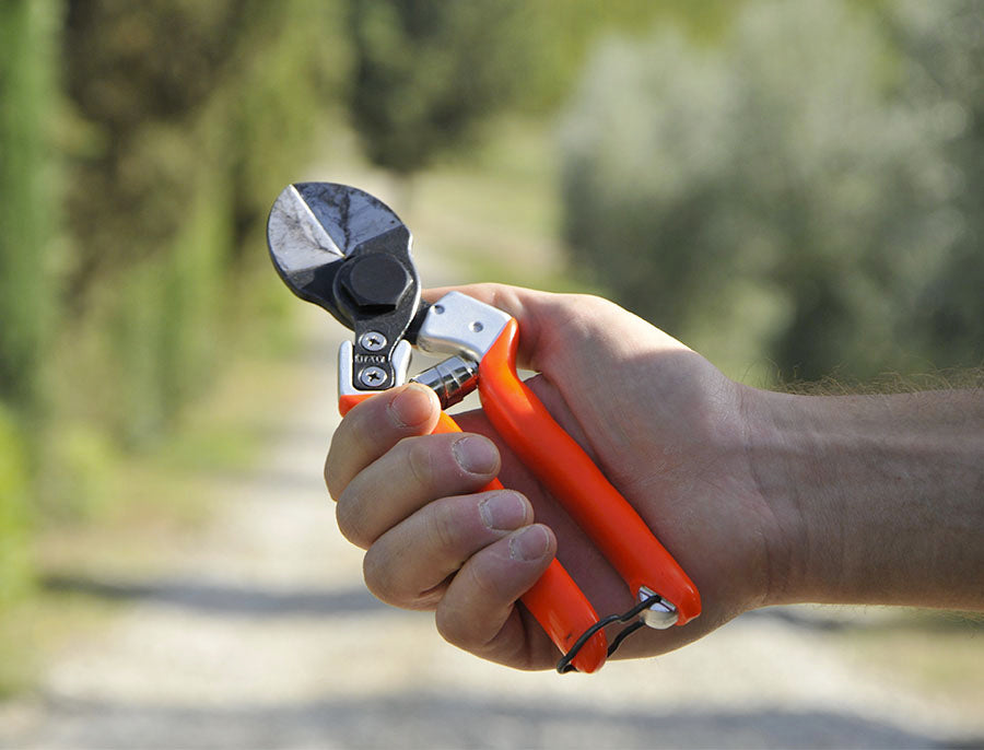 Castellari Double Blade Secateurs