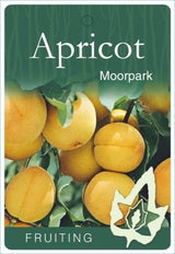 Apricot 'Moorpark' [Sz:Bare Rooted (small)]