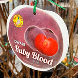 Dwarf Plum 'Ruby Blood' [Sz:Bare Rooted]