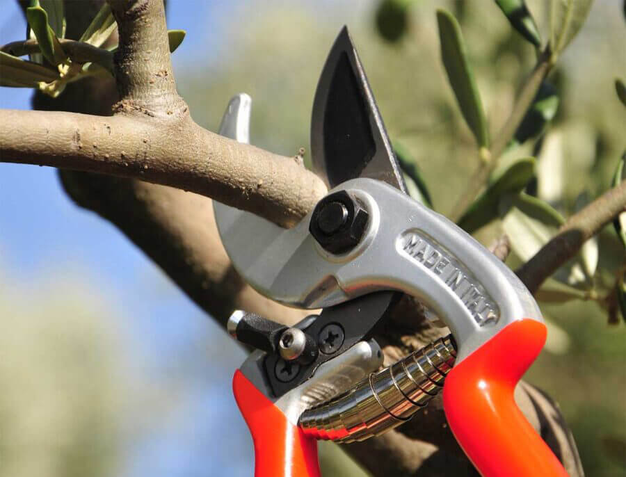 Castellari Ergonomic Secateurs
