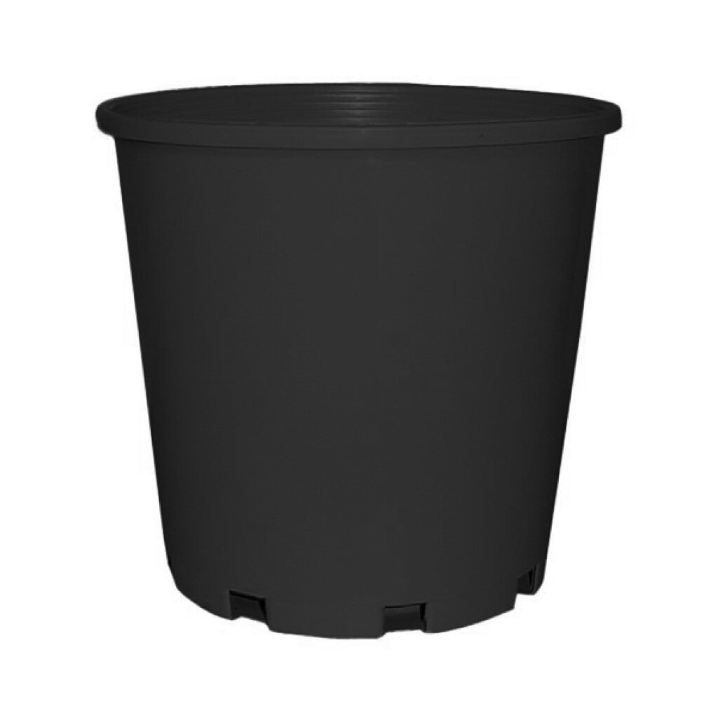 200 mm black grower pot